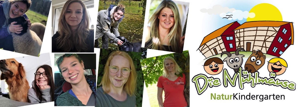 Stacks Image 1345820